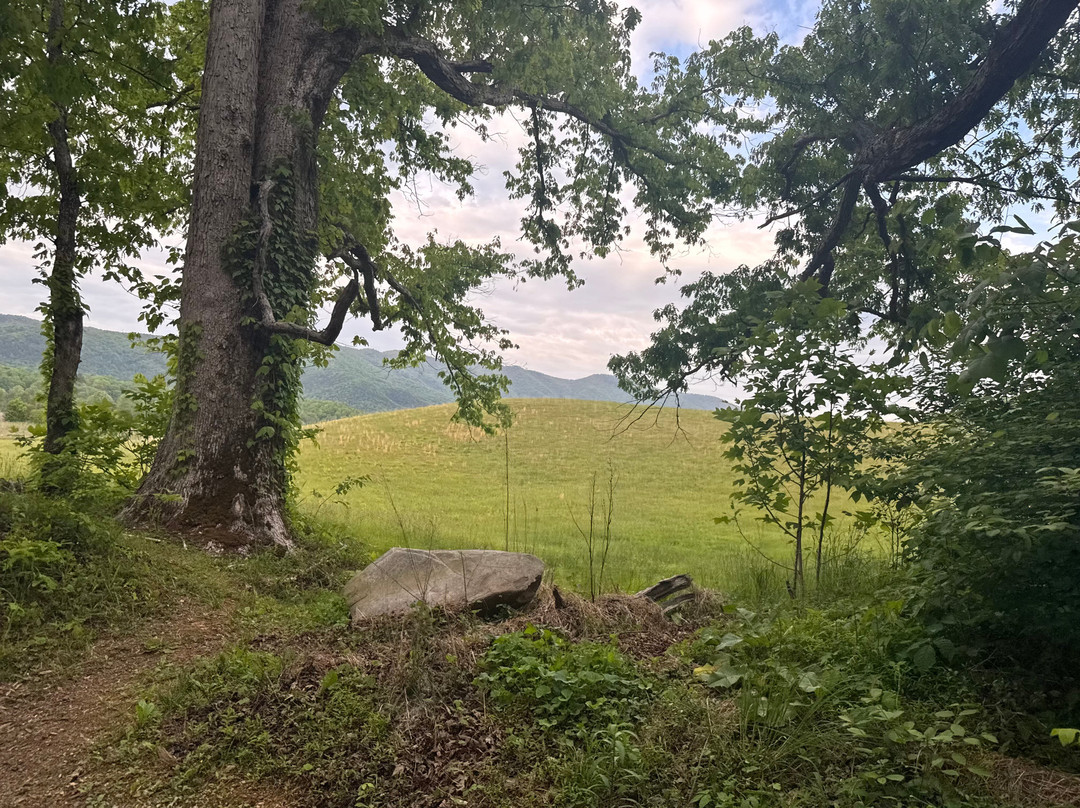 Cades Cove-大雾山国家公园必去景点