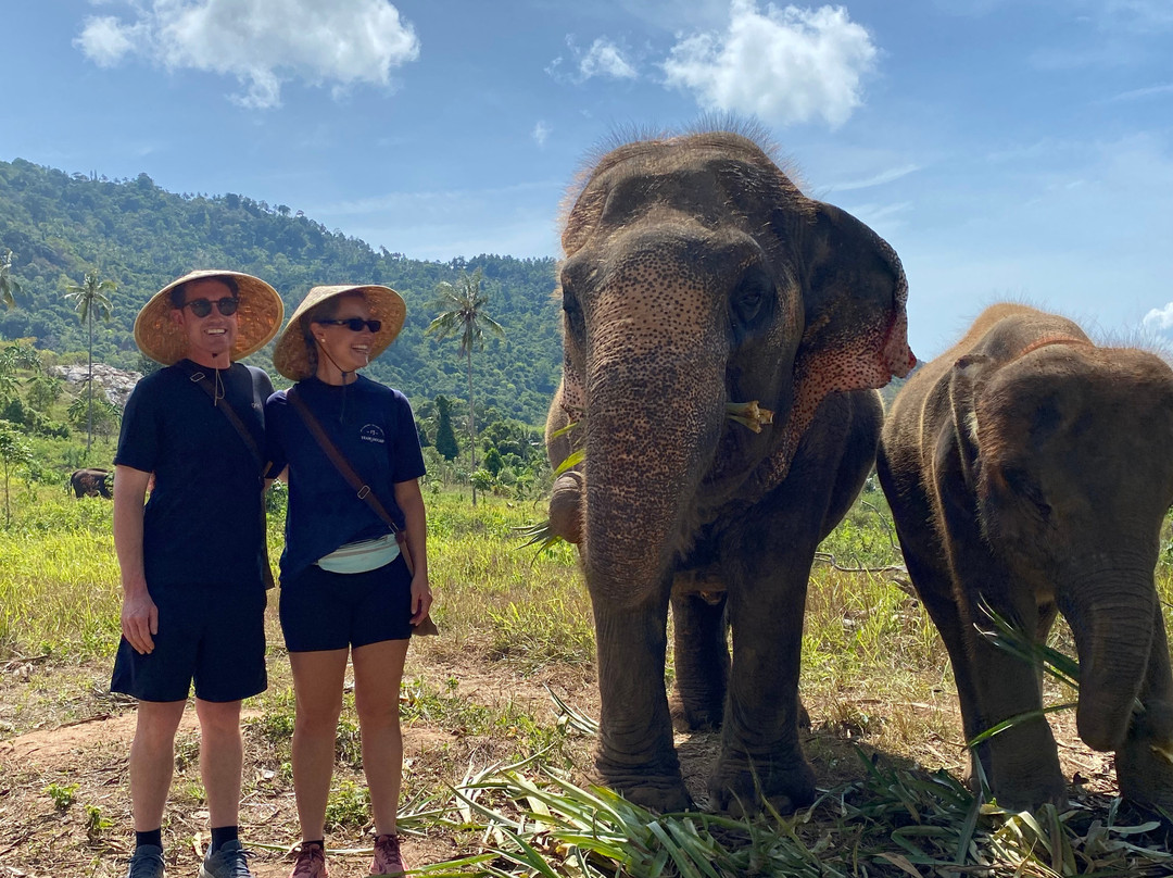 Samui Elephant Sanctuary-波普特必去景点