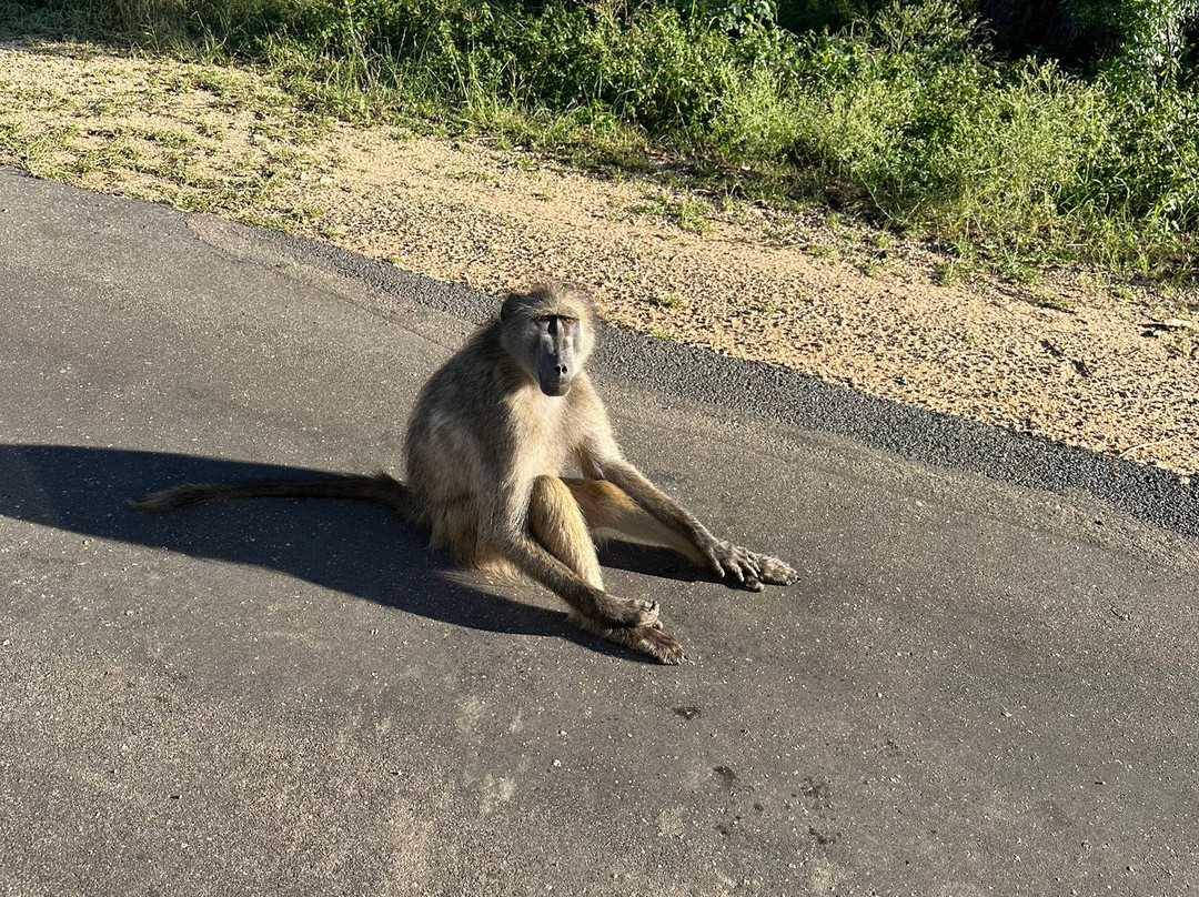 Africa Breeze Tours and Transfers-约翰内斯堡必去景点