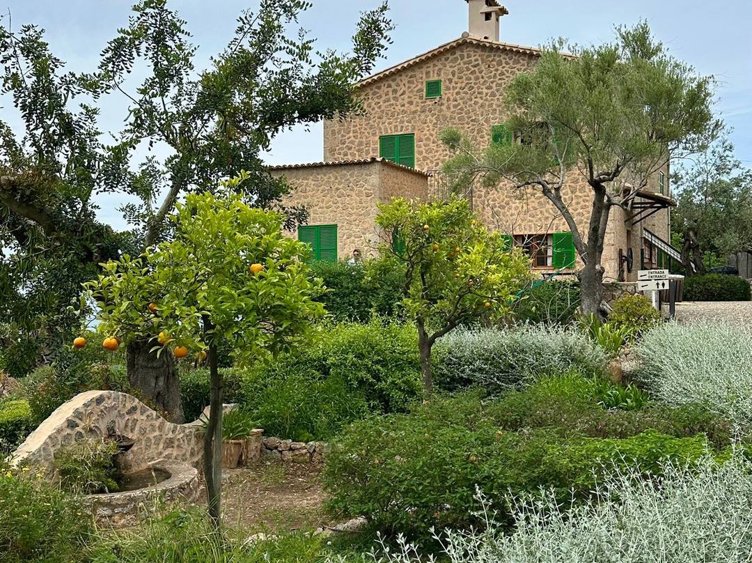 La Casa de Robert Graves-德亚必去景点