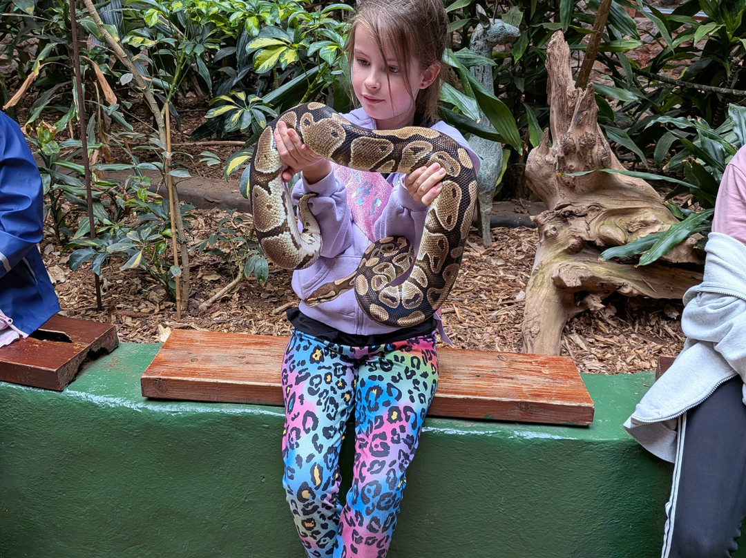 Tropiquaria Zoo-Washford必去景点