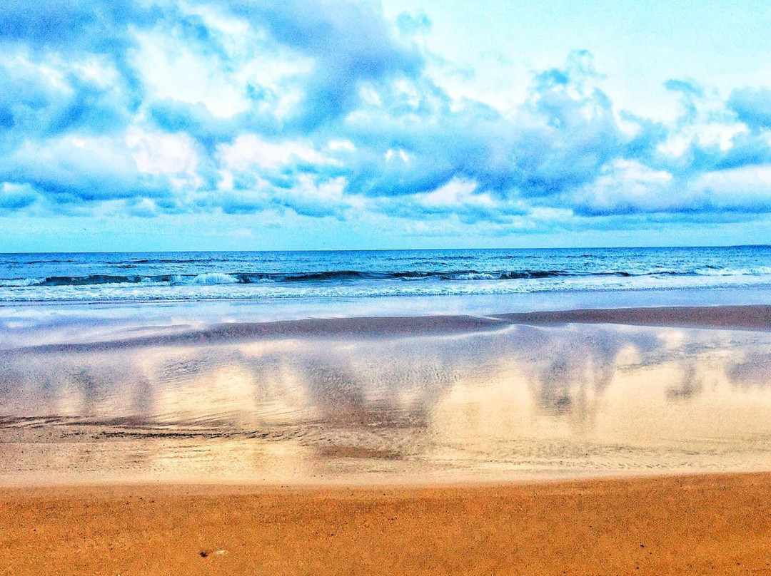 Seven Mile Beach-Shoalhaven必去景点