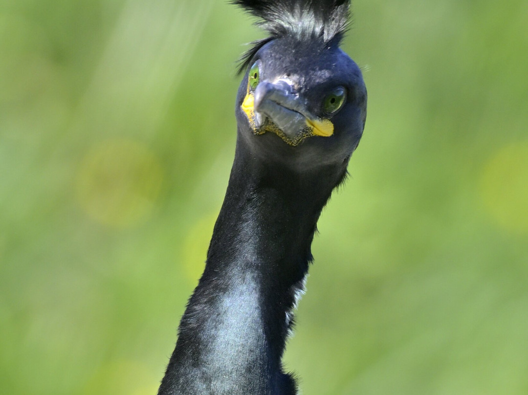 Mull Wildlife Breaks-Salen必去景点