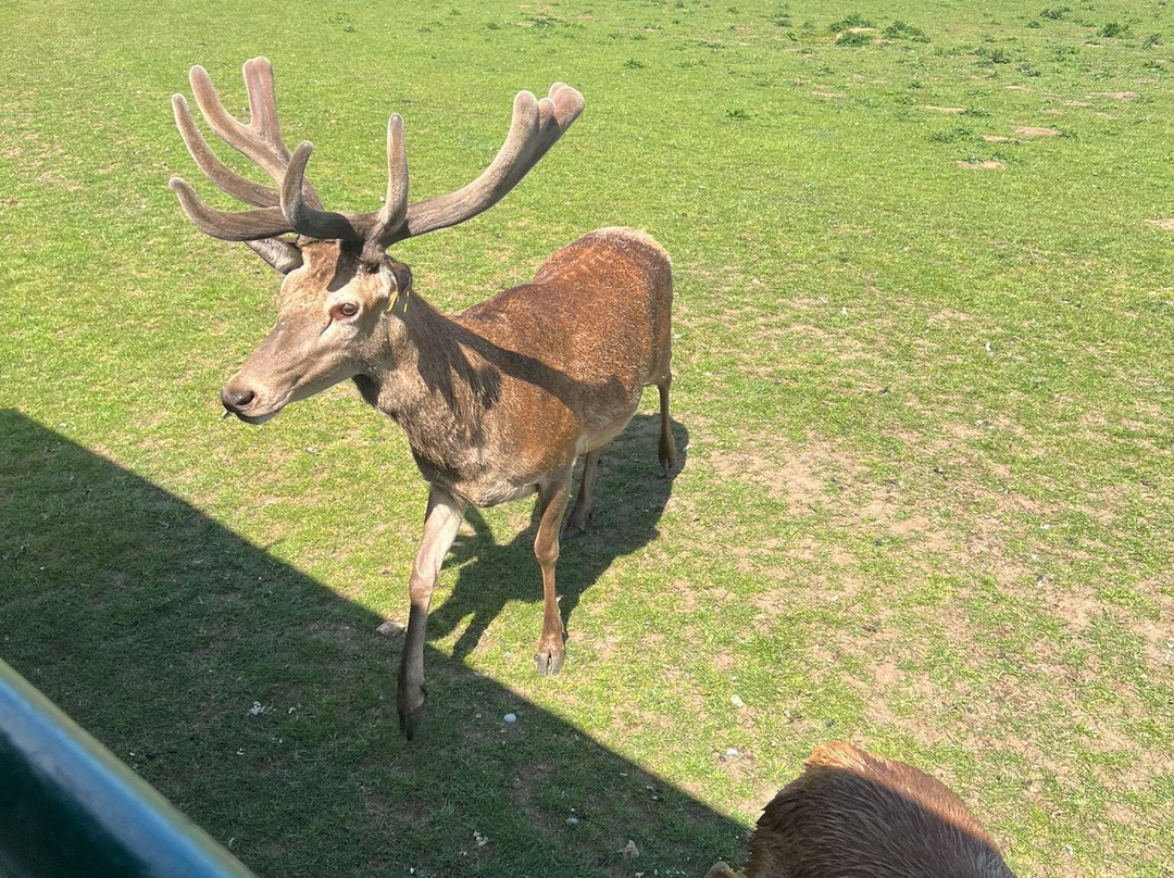 Snettisham Park-金斯林必去景点