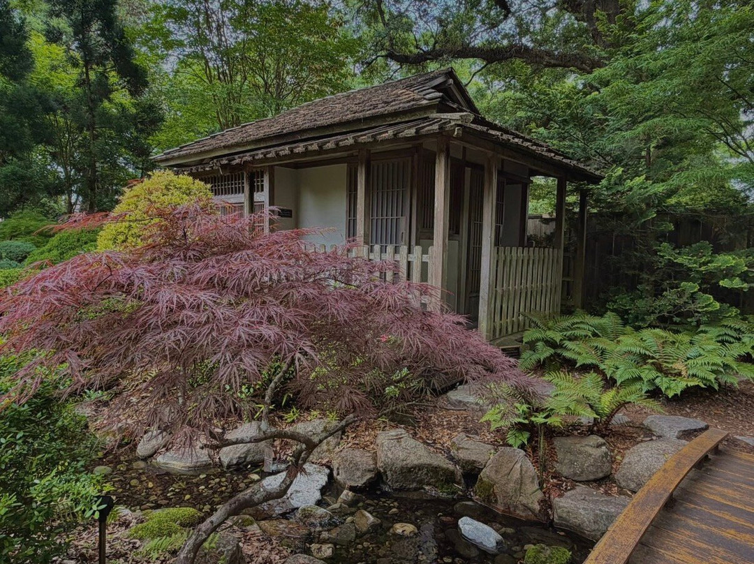 New Hanover County Arboretum-威尔明顿必去景点