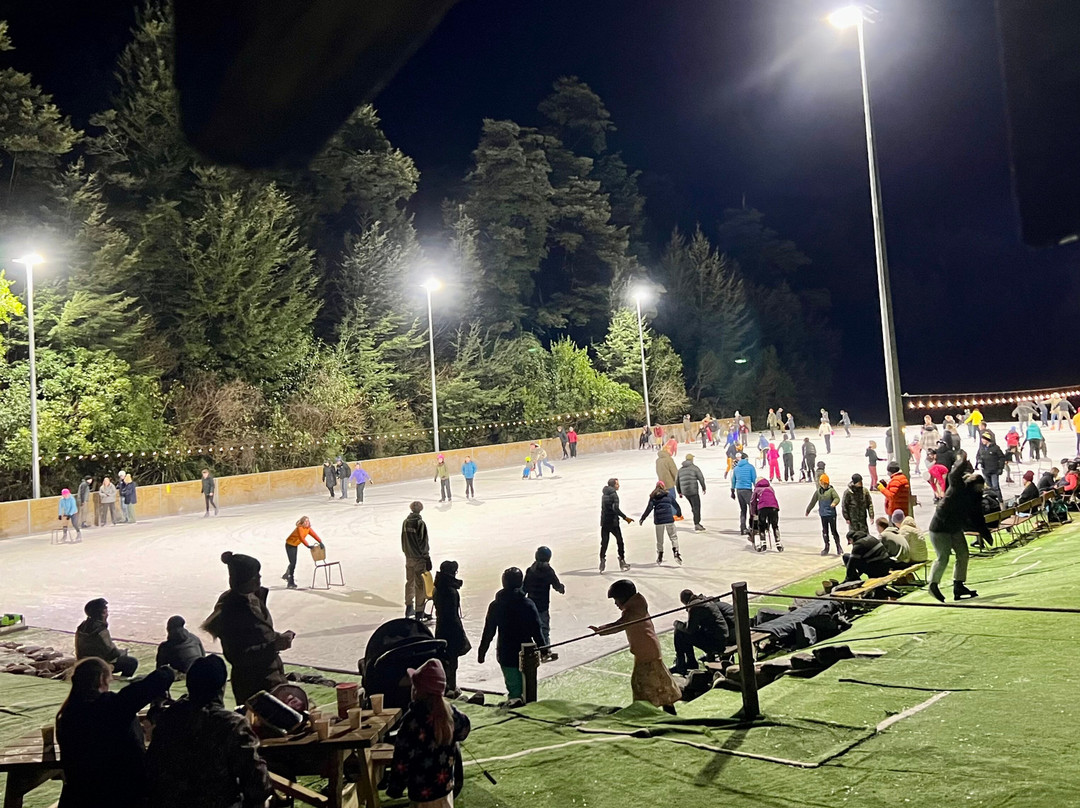 Staveley Iceskating & Curling Rink-Mount Somers必去景点
