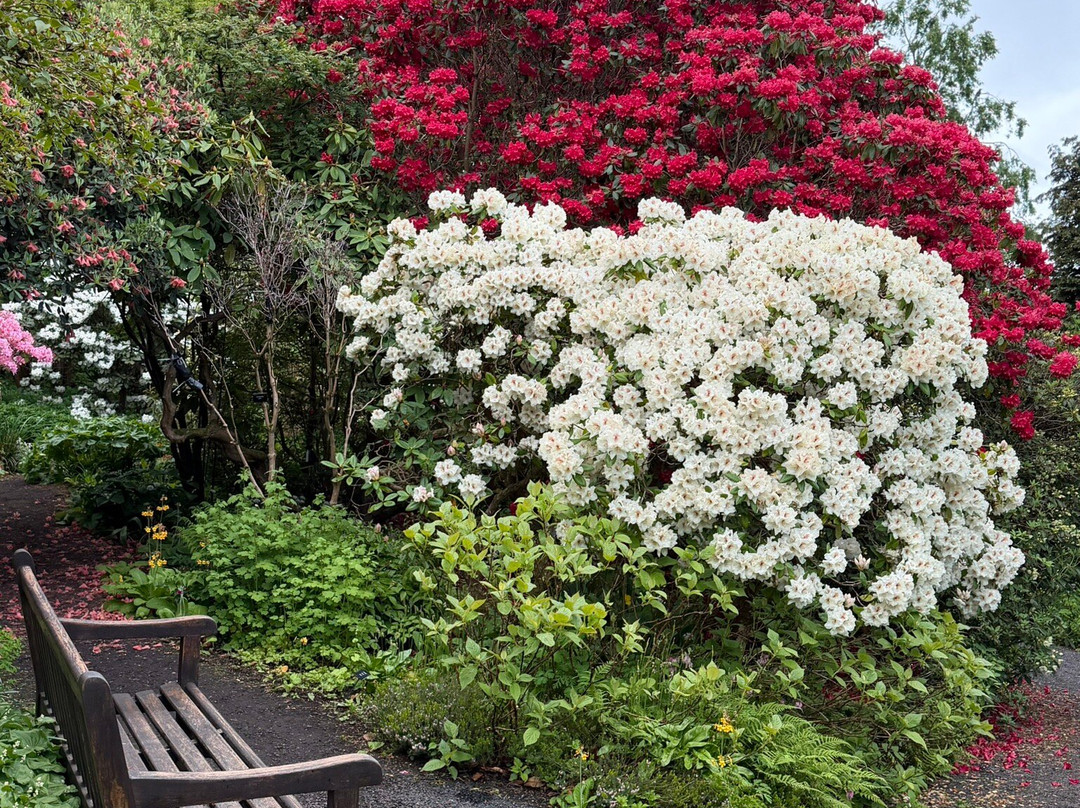 Branklyn Garden-珀斯必去景点