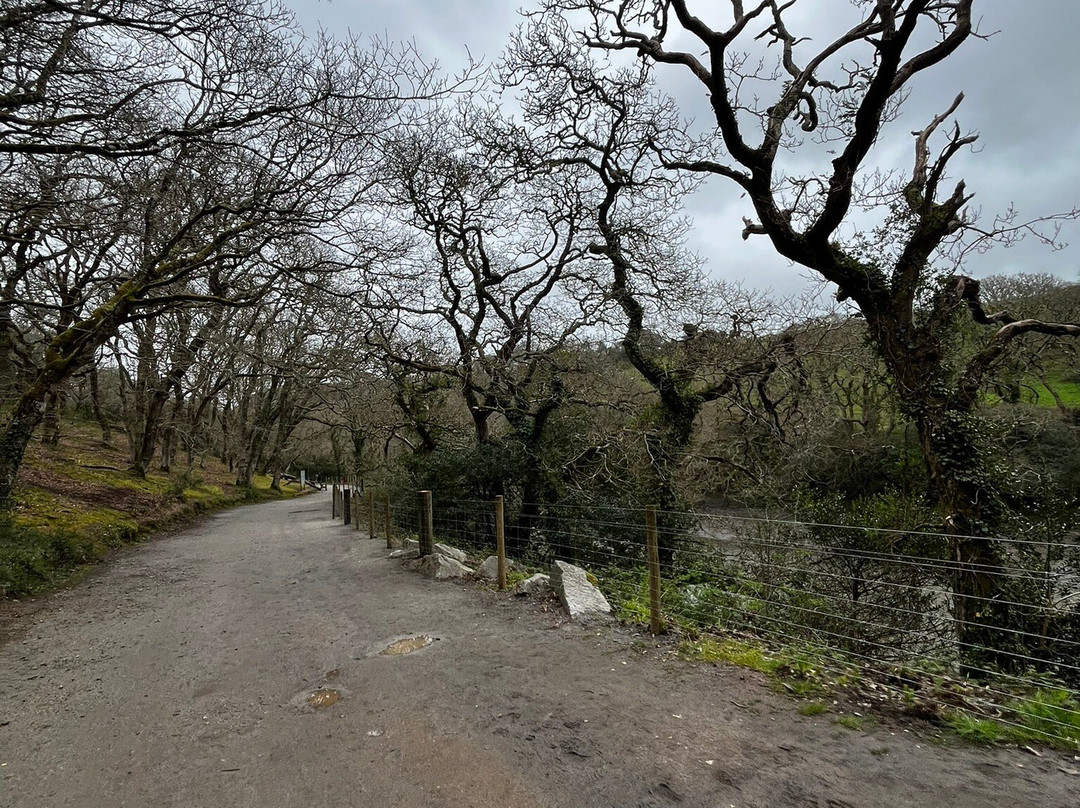 Cornish Seal Sanctuary-Gweek必去景点