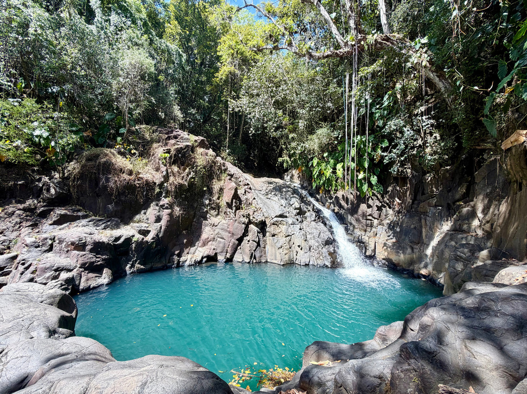 Le Jardin des Ilets