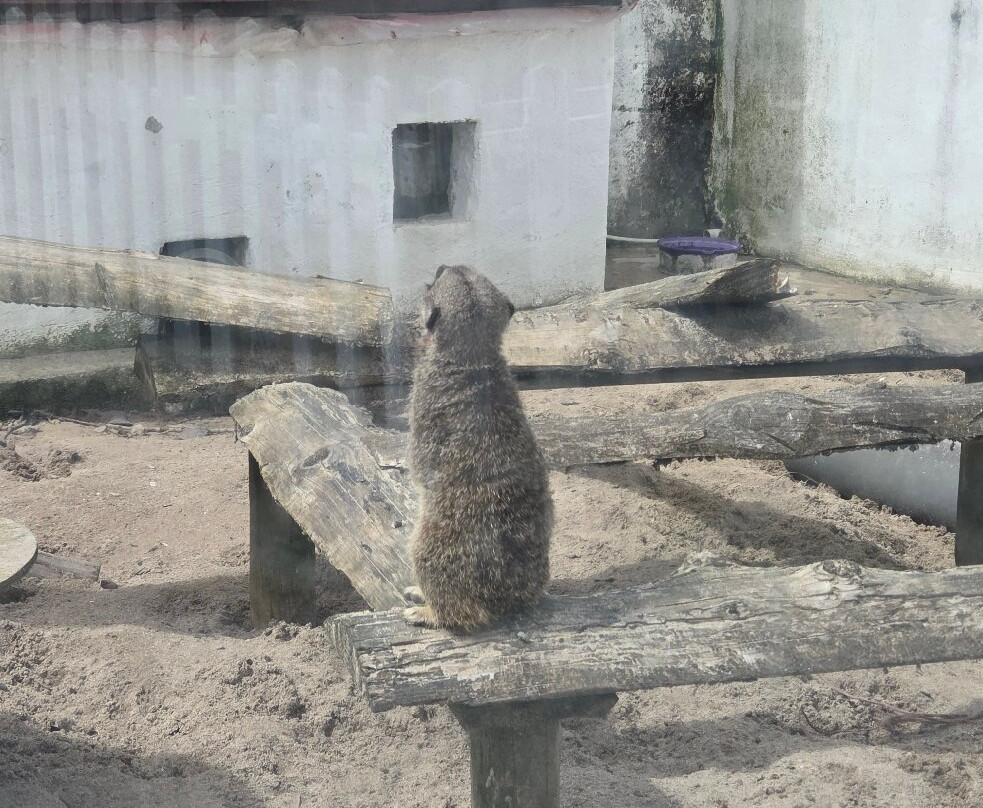 Errigal View Pet Farm-Gweedore必去景点