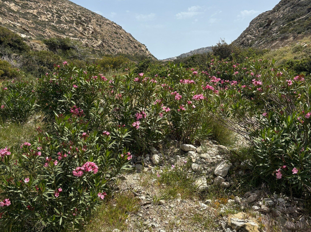 Art and Walk Karpathos-Karpathos Town (Pigadia)必去景点