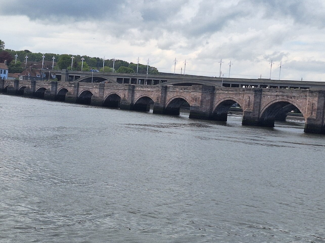 Berwick Boat Trips-特威德河畔贝里克必去景点