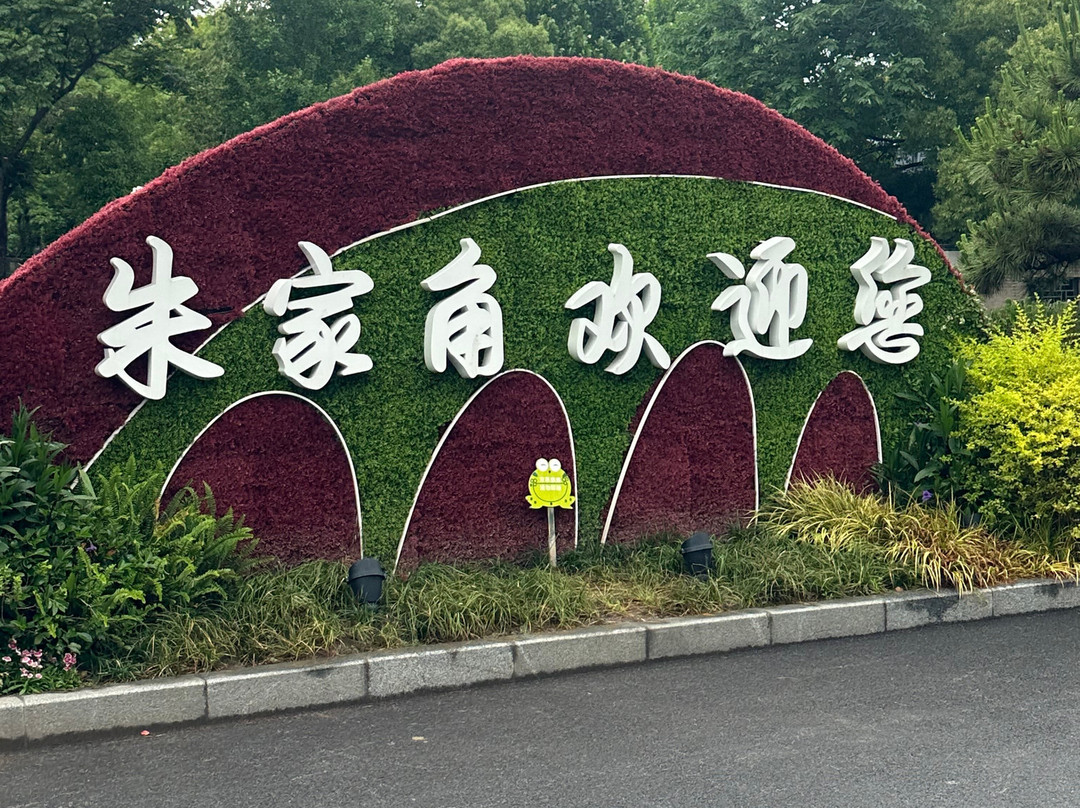 朱家角水乡和上海市私人一日游-上海市必去景点