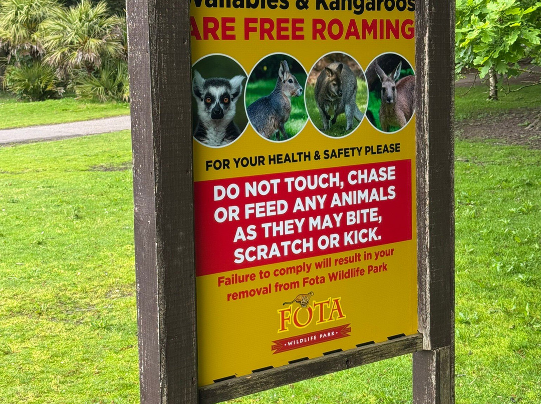 Fota Wildlife Park-Carrigtwohill必去景点