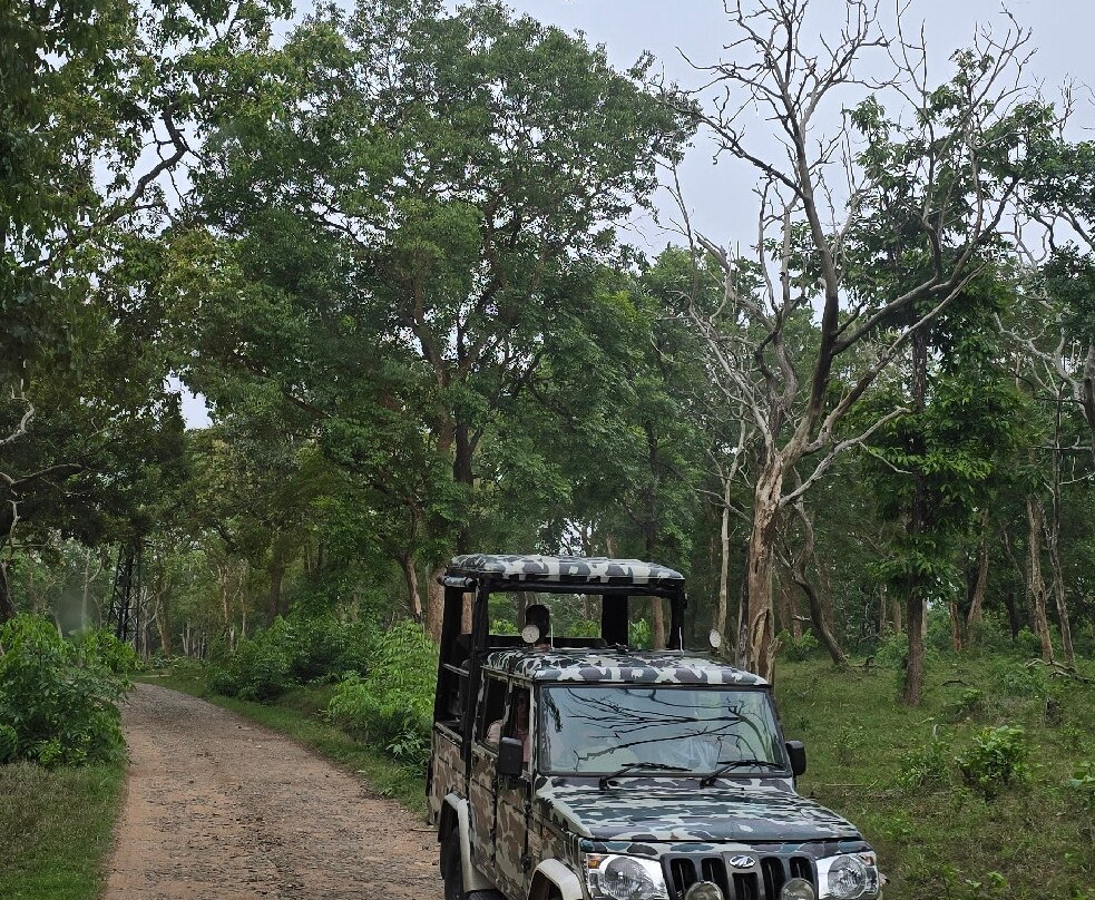 Mudumalai National Park-乌提必去景点