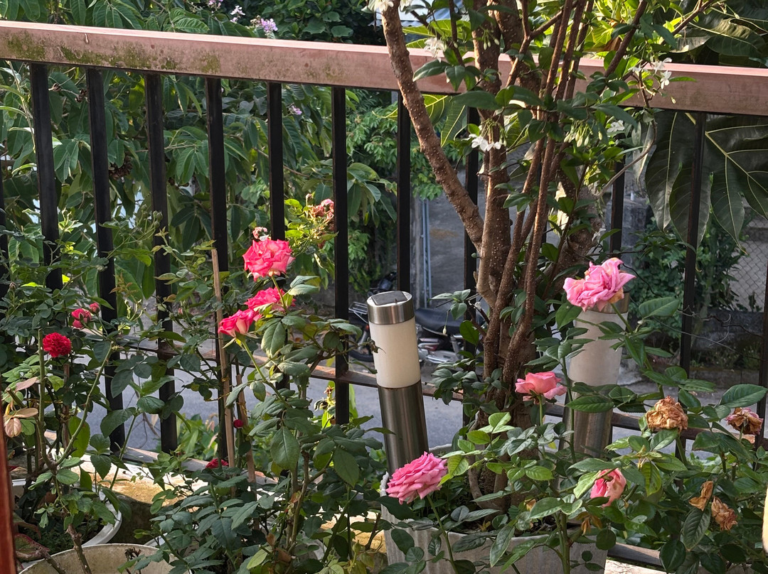 Pea Home - Nha Đau Homestay
