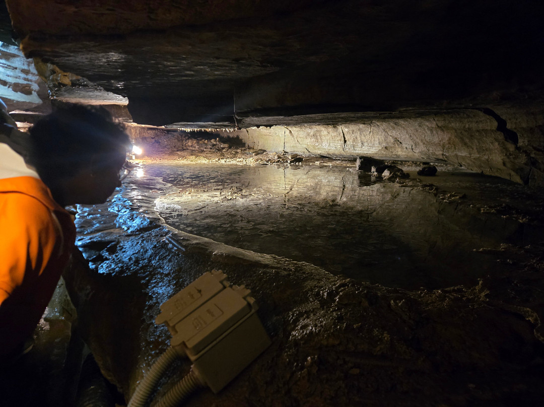 Secret Caverns-Cobleskill必去景点