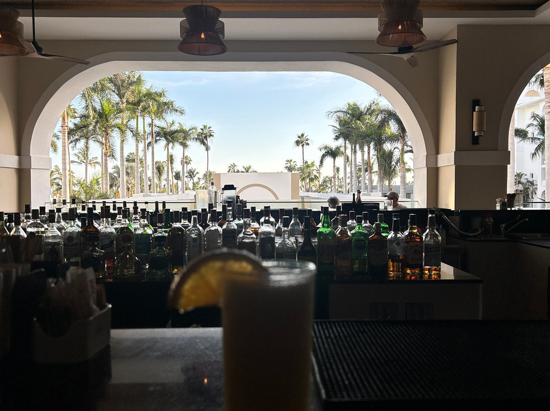 Hotel Riu 哈利斯科 - 全包主图