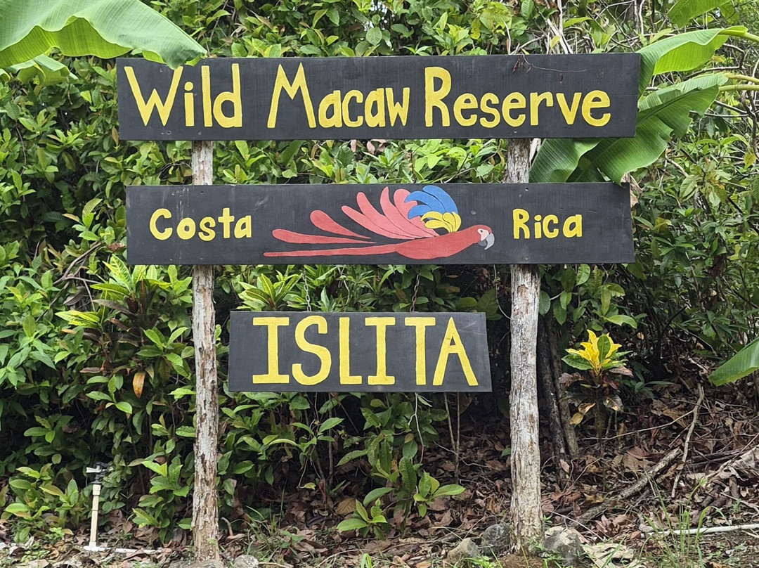 Macaw Recovery Network-Punta Islita必去景点