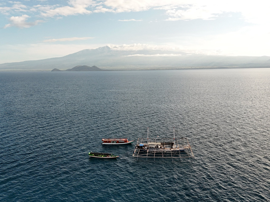 Sumbawa Holiday Tour-Sumbawa Besar必去景点