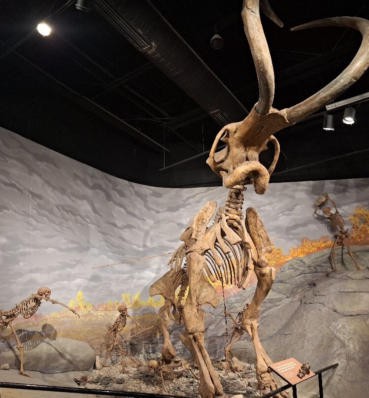 Mountain America Museum of Ancient Life-李海必去景点
