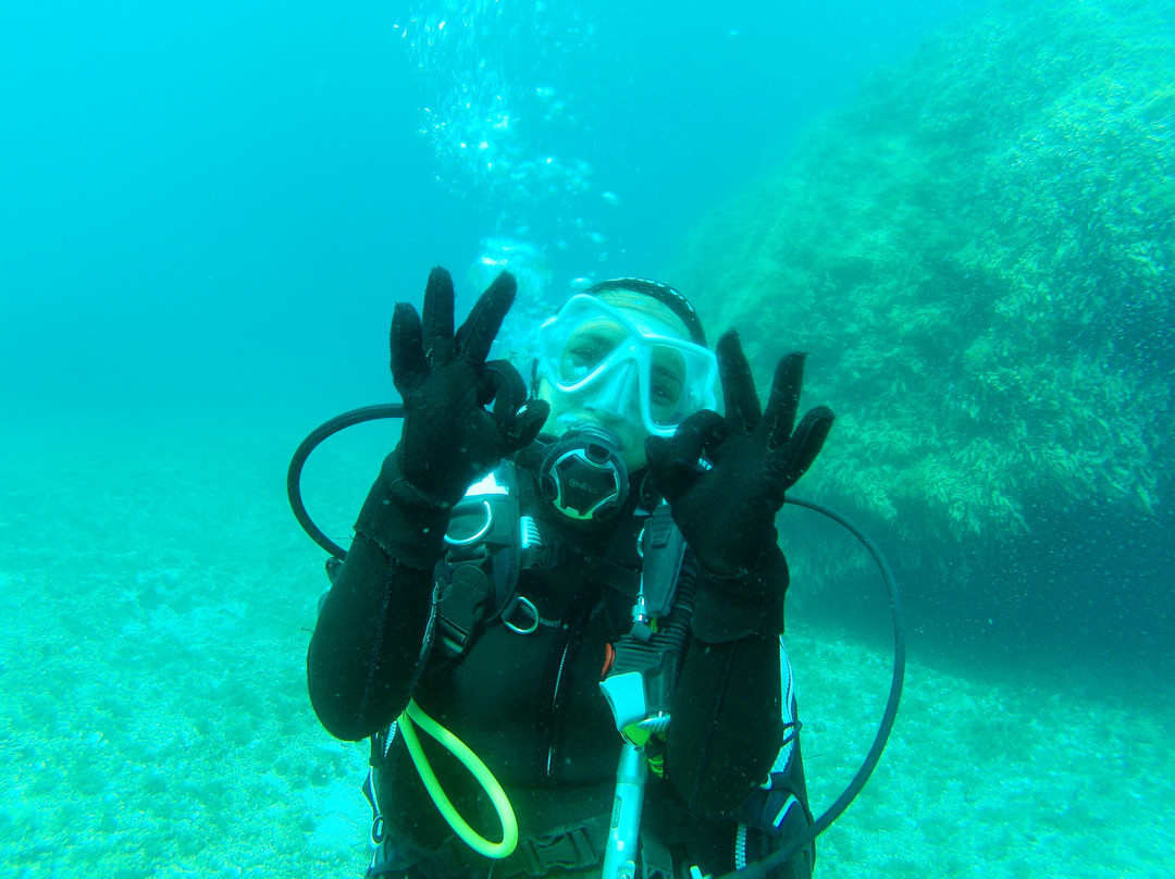 East Coast Divers Mallorca-Portocolom必去景点