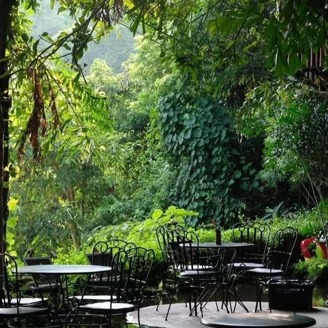 Dong Dinh Museum-Son Tra Peninsula必去景点