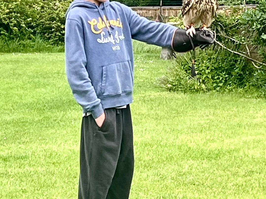 Wren's Birds Of Prey-Wotton-under-Edge必去景点