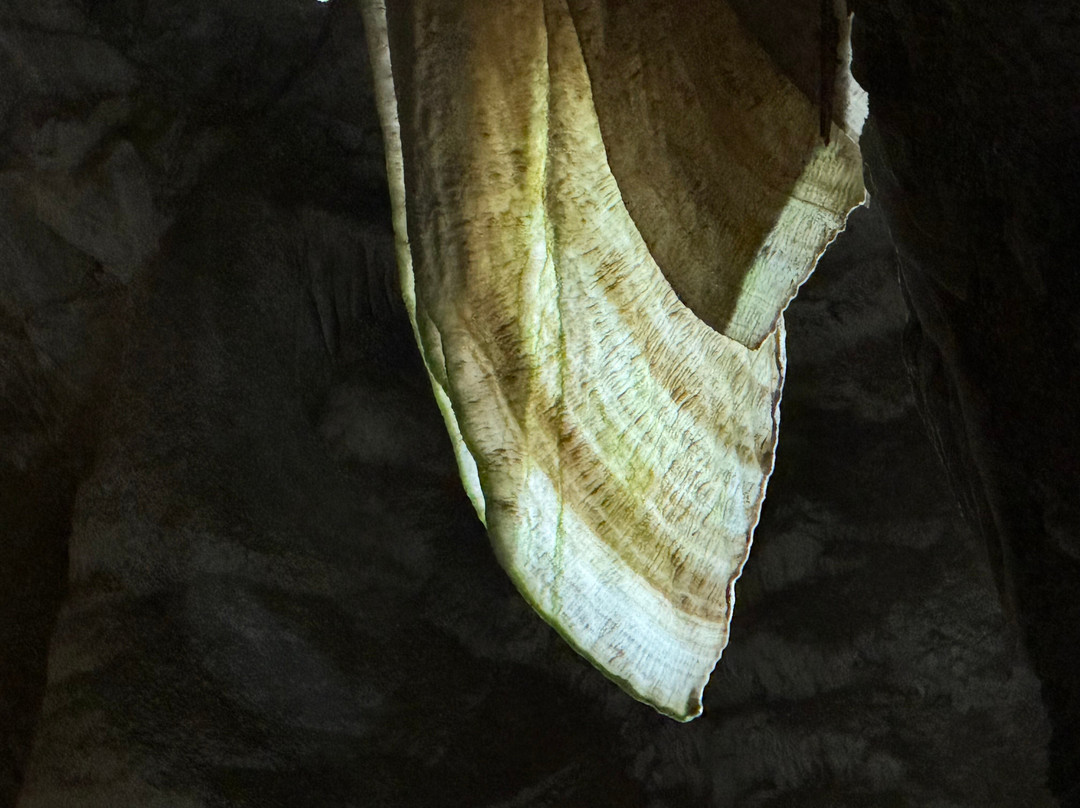 Moaning Caverns Adventure Park-Vallecito必去景点