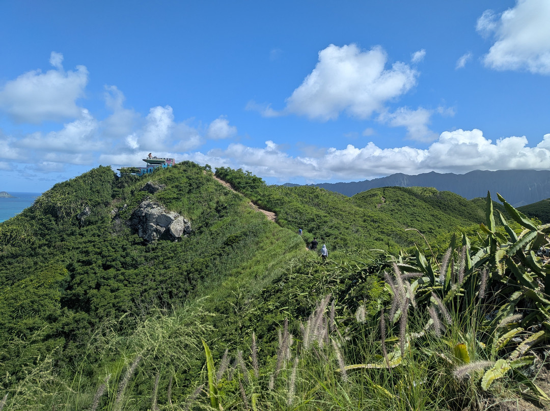 Lanikai Pillbox Trail-科纳必去景点