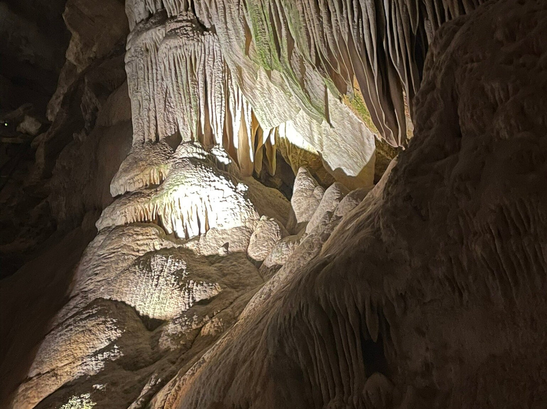 Lower Cave Tour-卡尔斯巴德洞穴国家公园必去景点