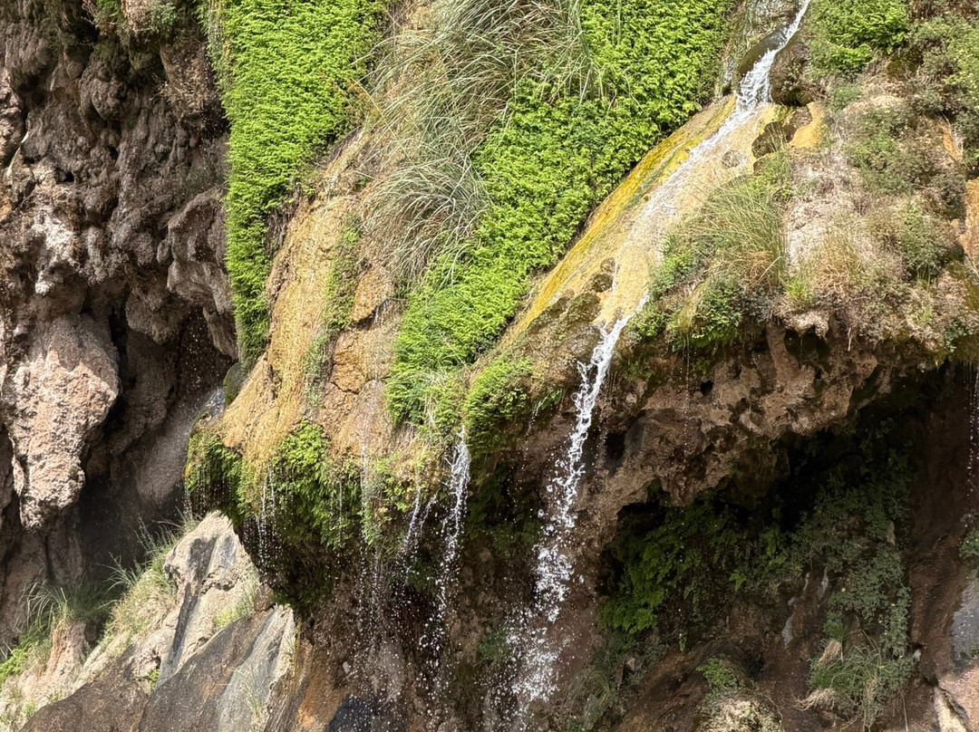 Sitting Bull Falls-卡尔斯巴德必去景点