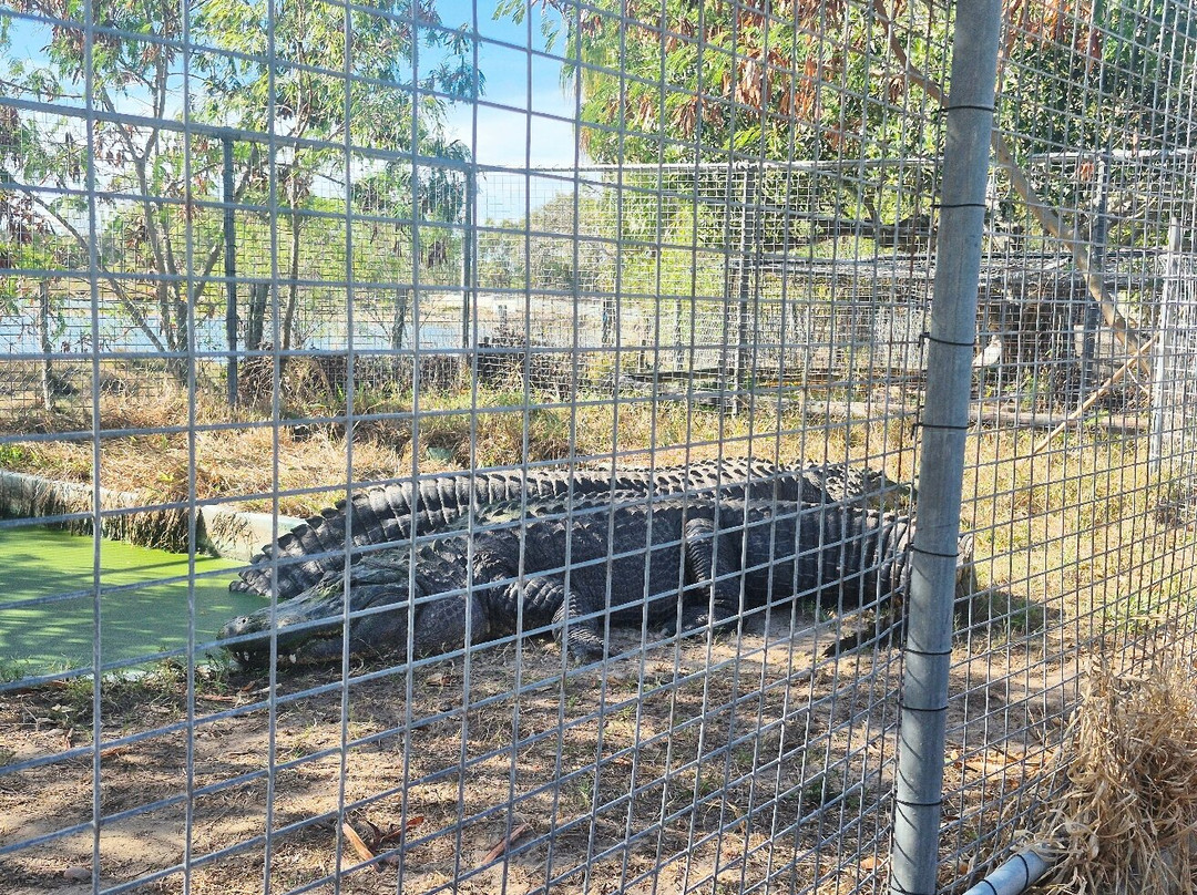 Koorana Crocodile Farm-Coowonga必去景点