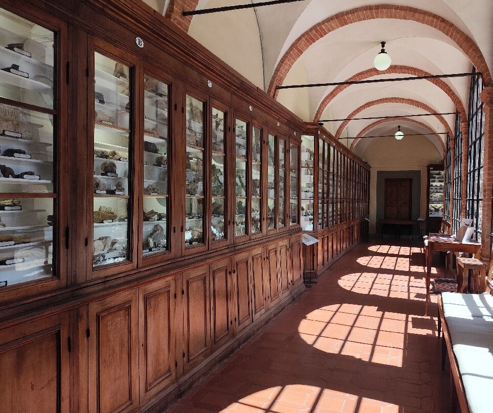 Museo di Storia Naturale dell'Accademia dei Fisiocritici-锡耶纳必去景点