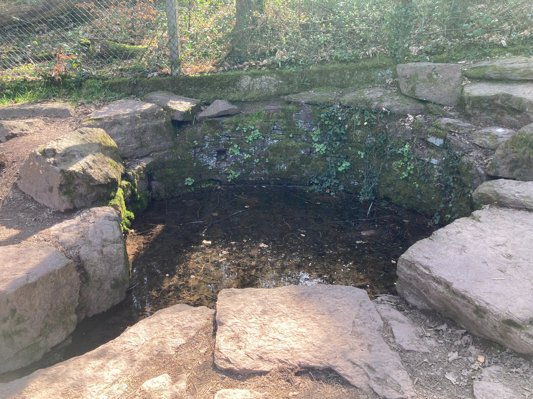 Tombeau de Merlin / Fontaine de Jouvence-Paimpont必去景点