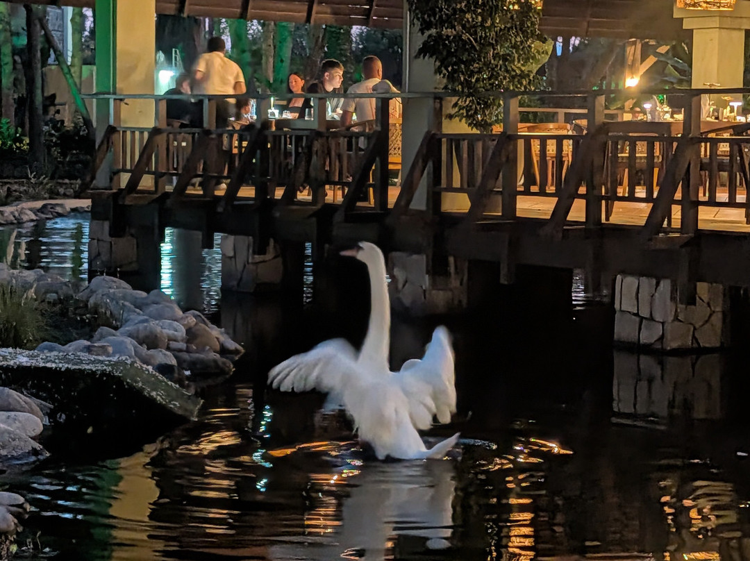 IC酒店绿宫及别墅主图