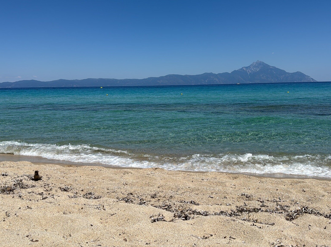 Platanitsi Beach-Sarti必去景点