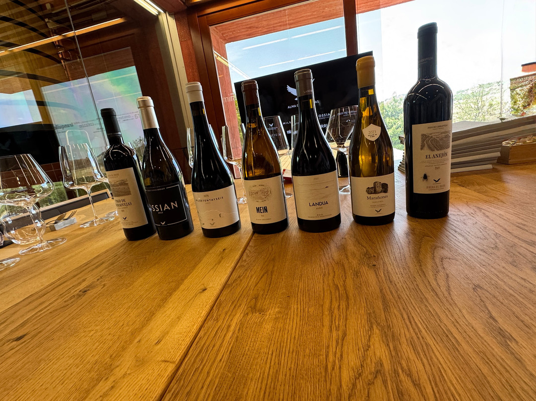 Pago de Carraovejas Winery-Penafiel必去景点