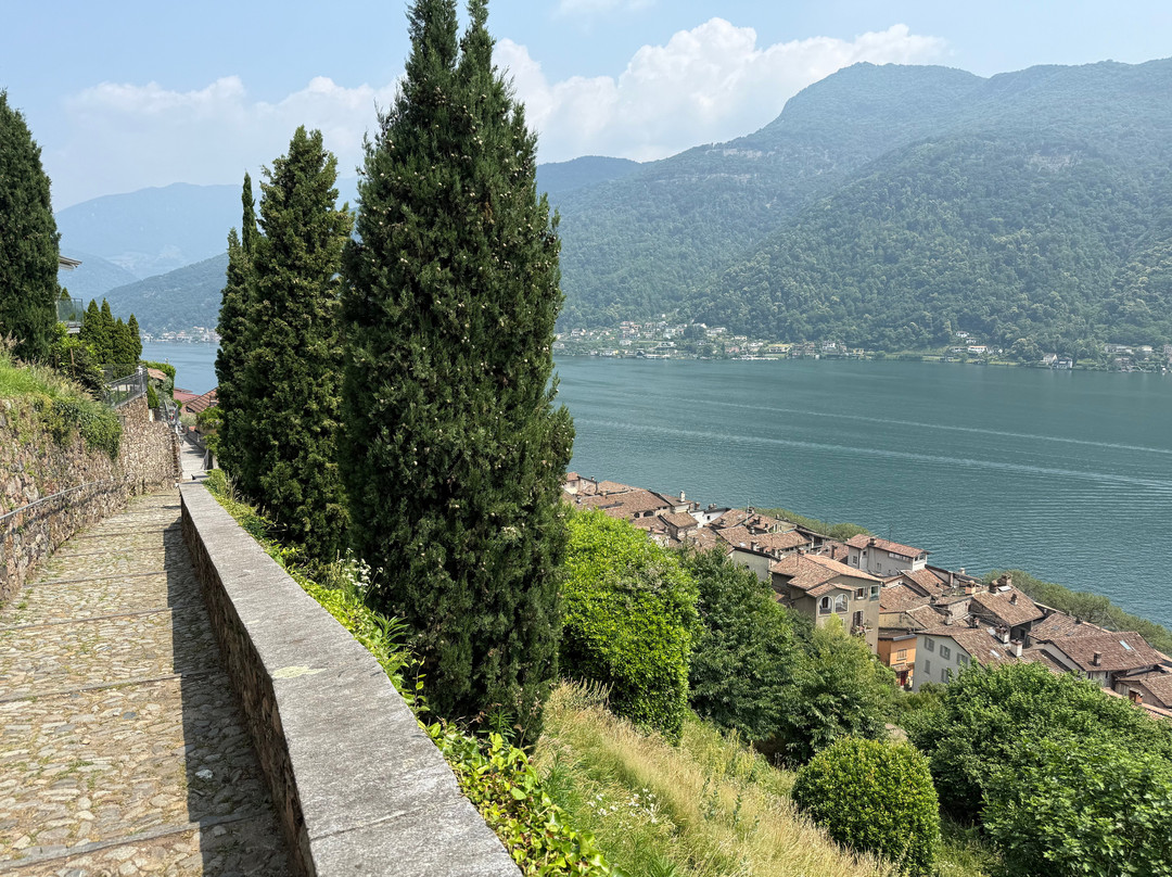 Viewing platform