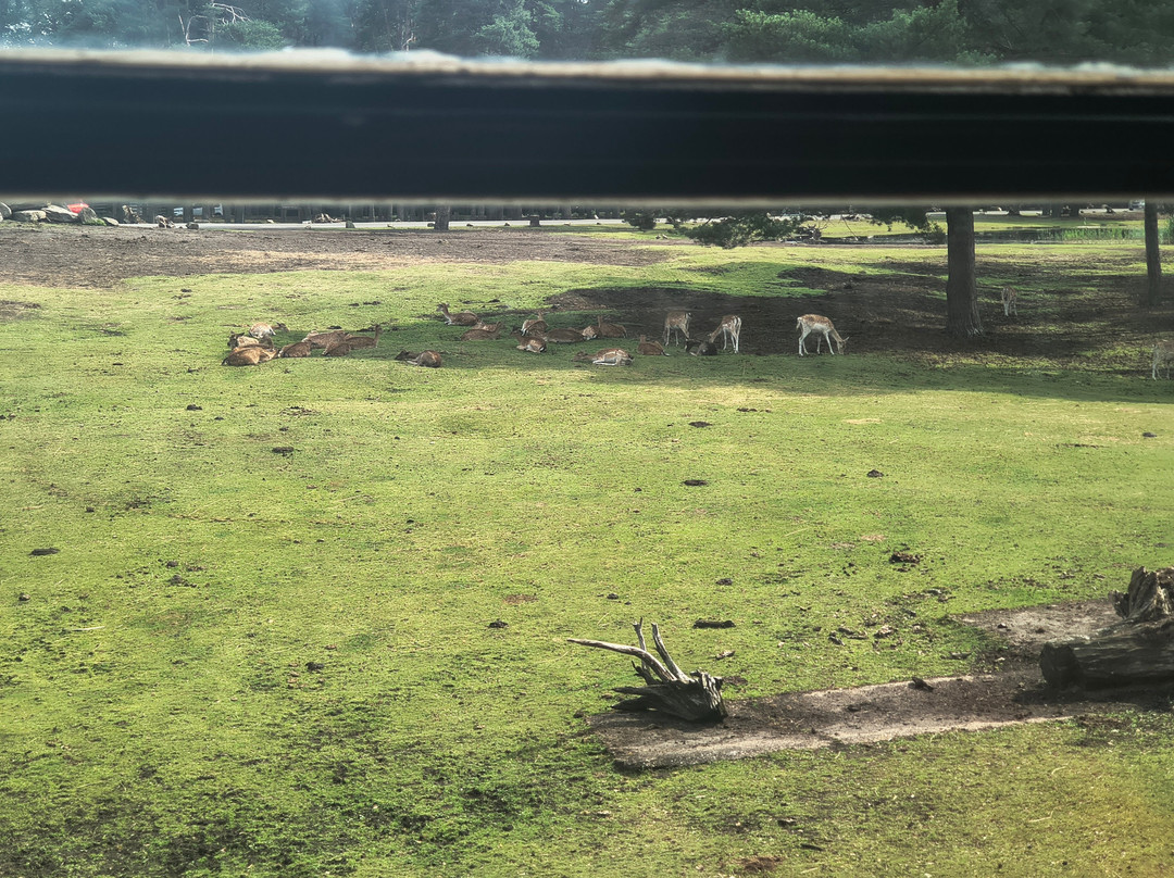 Serengeti-park Hodenhagen-Hodenhagen必去景点