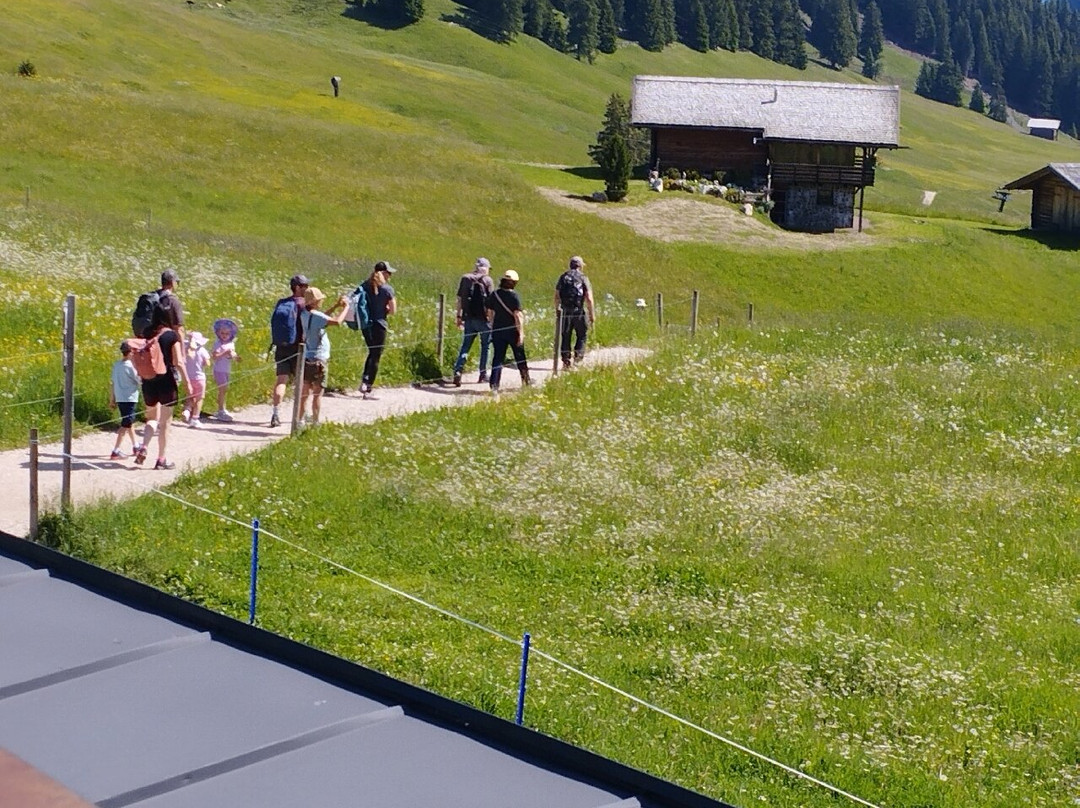 Seiser Alm Bahn - Cabinovia Alpe di Siusi-Alpe di Siusi必去景点