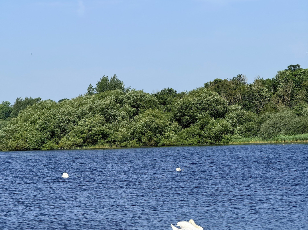 Hornsea Mere-Hornsea必去景点