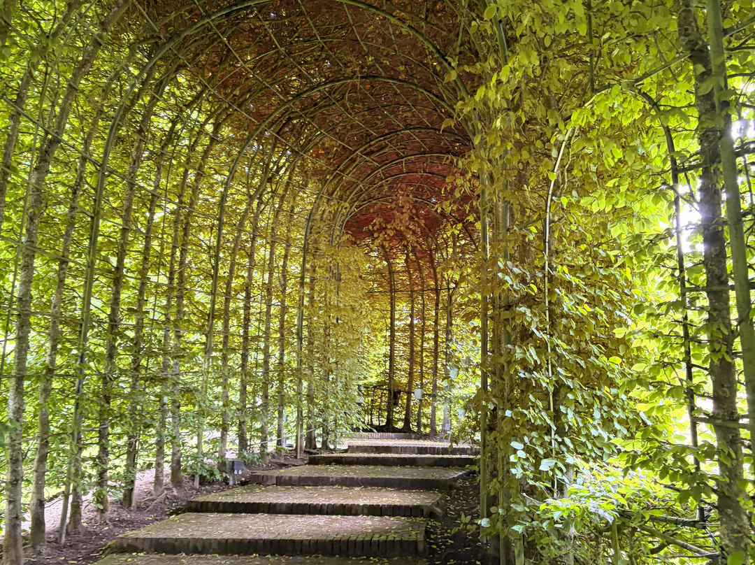 The Alnwick Garden-阿尼克必去景点
