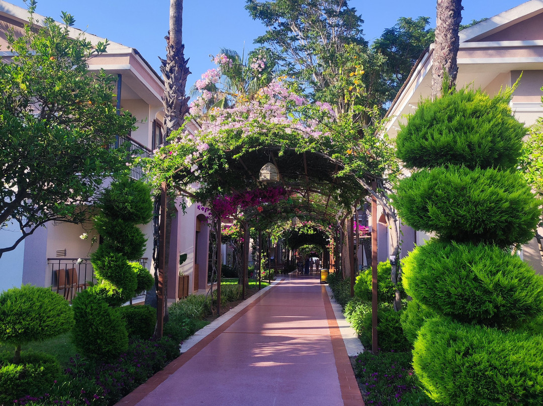 Club Hotel Turan Prince World主图