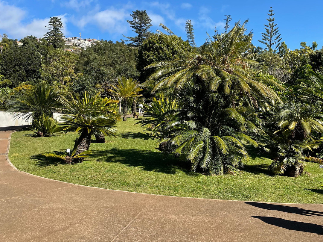 Madeira Botanical Garden-沙尔必去景点