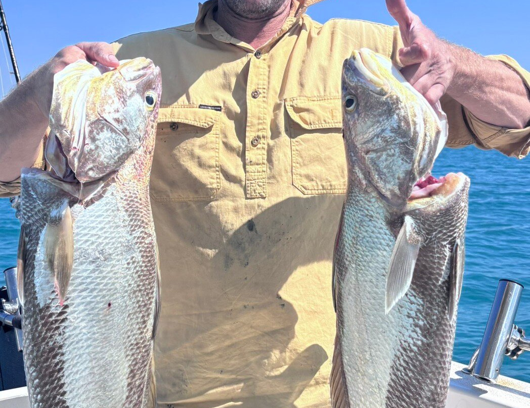 Equinox Fishing Charters-达尔文市必去景点