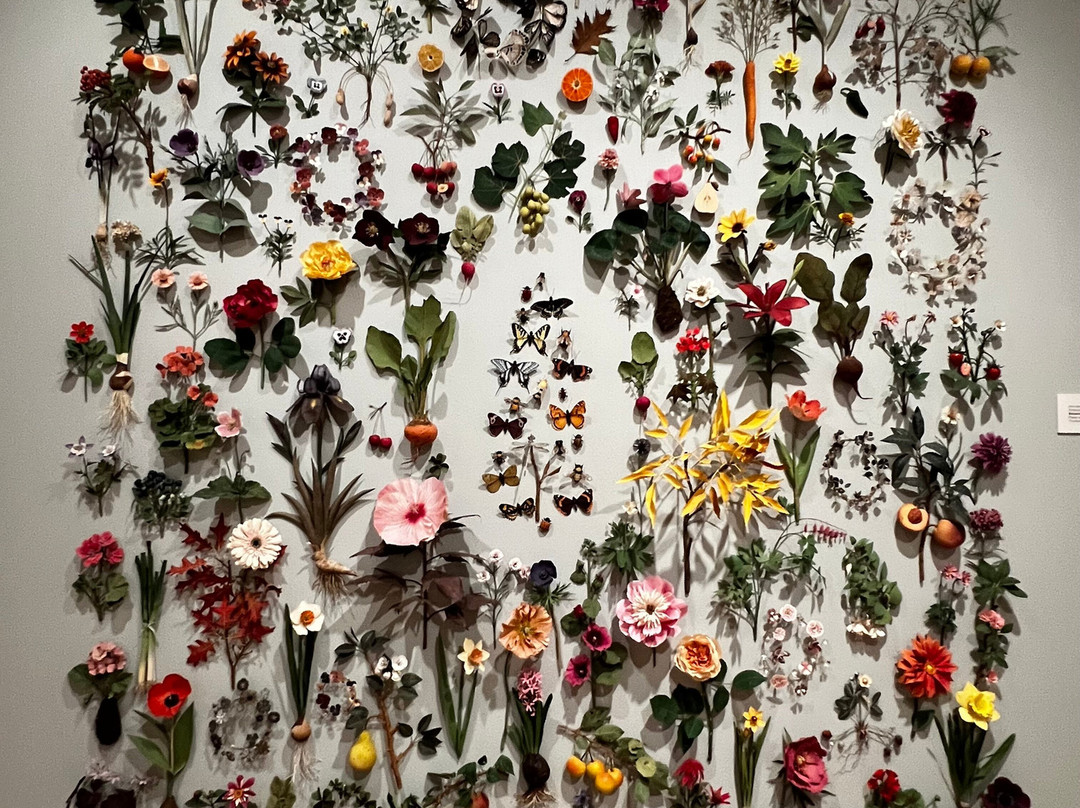 The Cummer Museum of Art & Gardens-杰克逊维尔必去景点