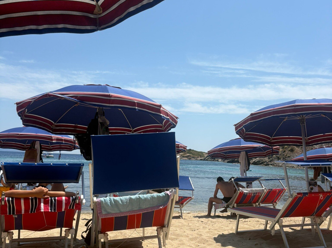 Spiaggia Arenella-Isola del Giglio必去景点