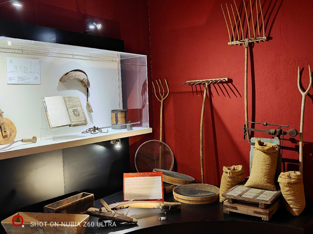 Museo Etnográfico-塔拉韦拉-德拉雷纳必去景点