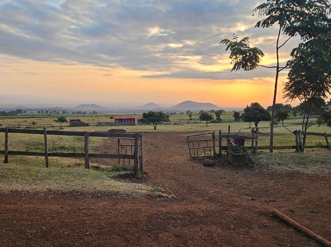 Simba Farm Lodge主图